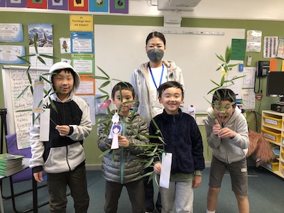 y2-4